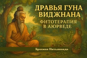 фитотерапевт