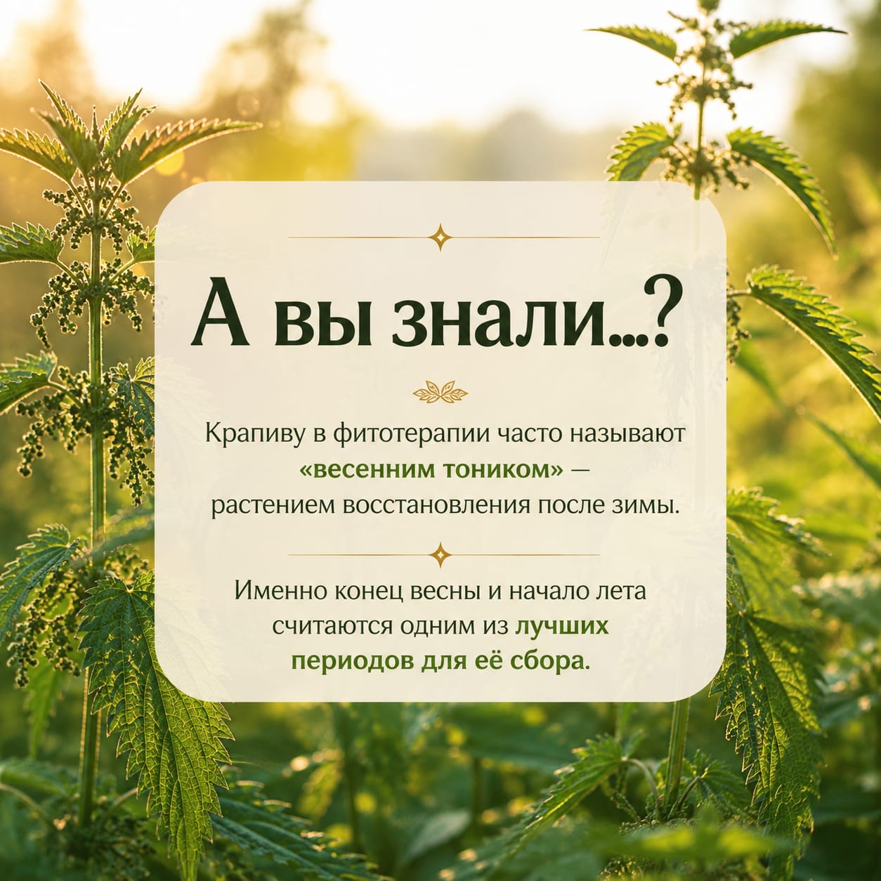 Пример квадратного экрана фабрики контента 1
