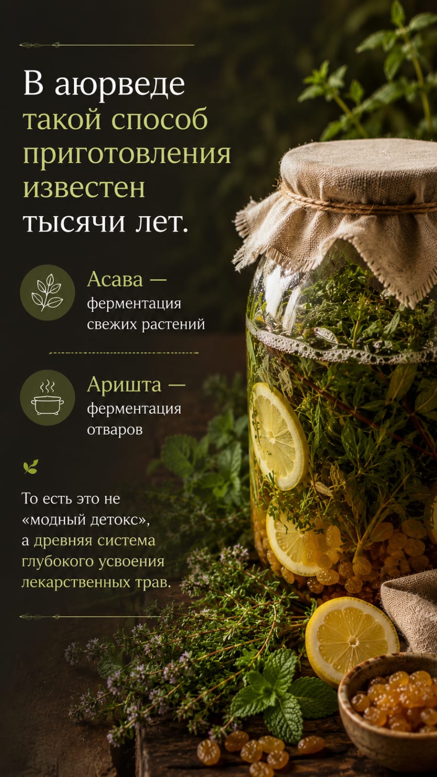 Пример вертикального экрана фабрики контента 6